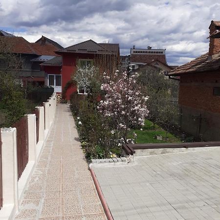 דירות קמפולונג Vinatoru Apartament Intrare Prin Strada Sculptor Constantin Baraschi מראה חיצוני תמונה