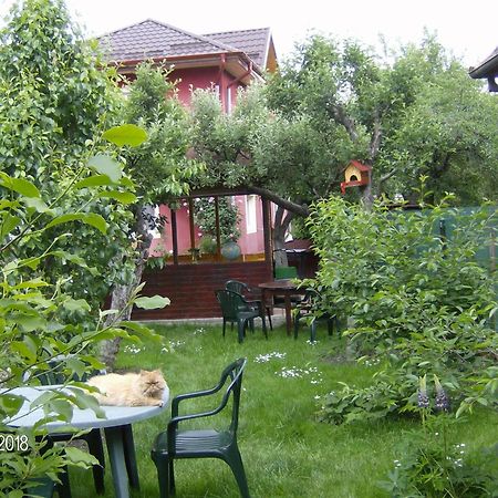 דירות קמפולונג Vinatoru Apartament Intrare Prin Strada Sculptor Constantin Baraschi מראה חיצוני תמונה
