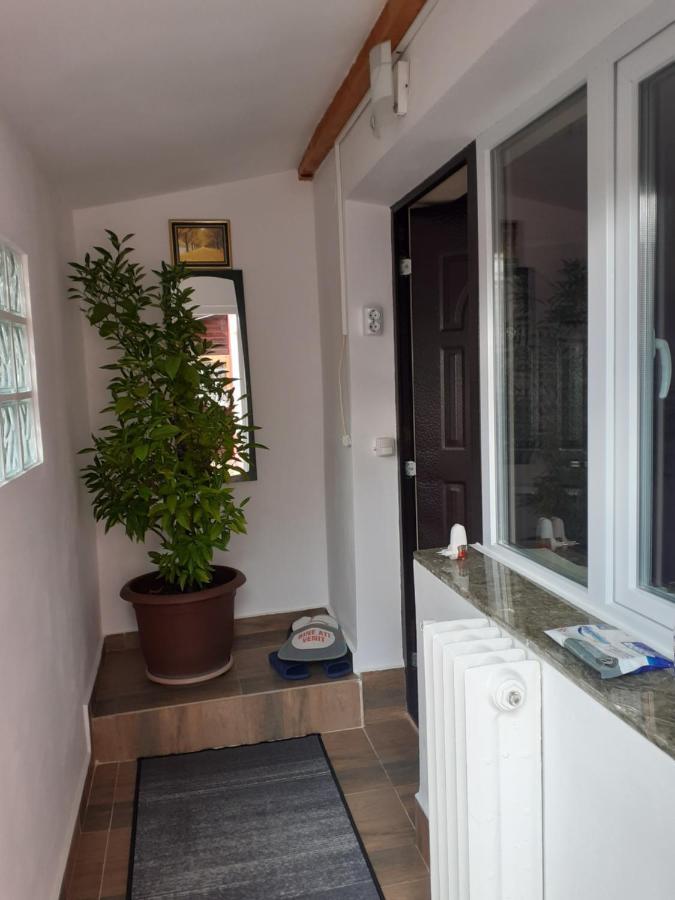 דירות קמפולונג Vinatoru Apartament Intrare Prin Strada Sculptor Constantin Baraschi מראה חיצוני תמונה