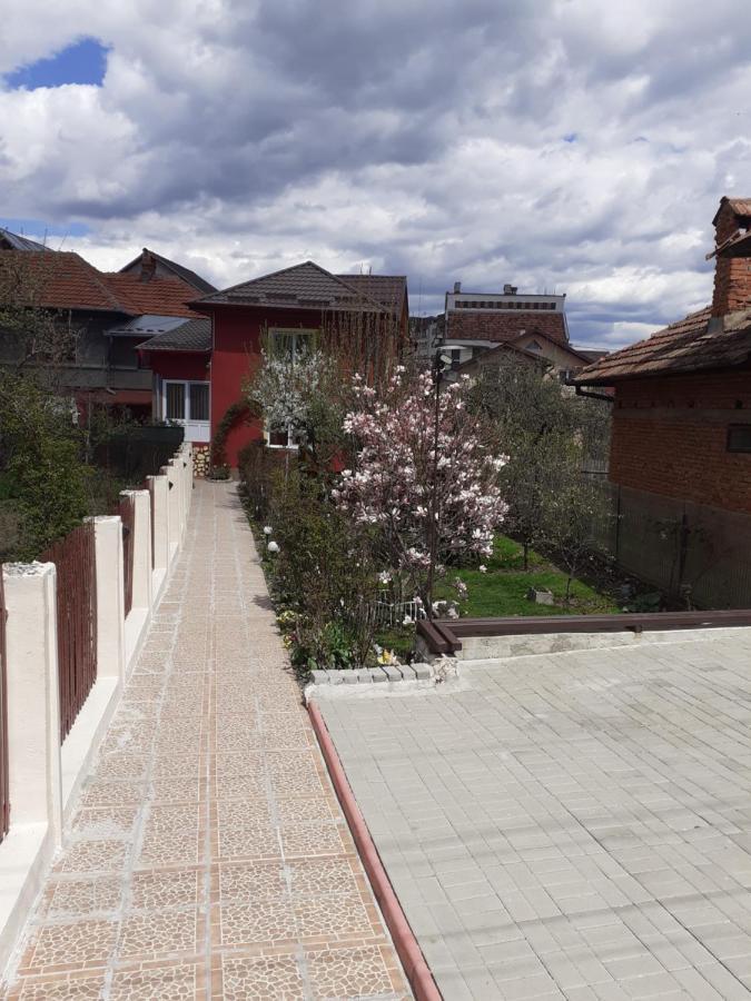 דירות קמפולונג Vinatoru Apartament Intrare Prin Strada Sculptor Constantin Baraschi מראה חיצוני תמונה