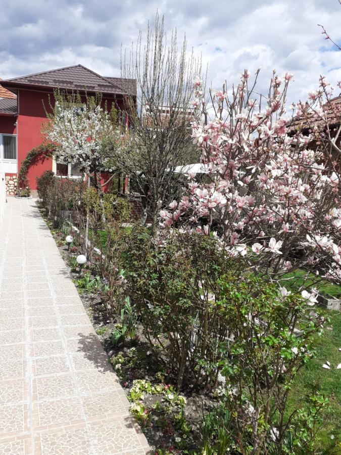 דירות קמפולונג Vinatoru Apartament Intrare Prin Strada Sculptor Constantin Baraschi מראה חיצוני תמונה