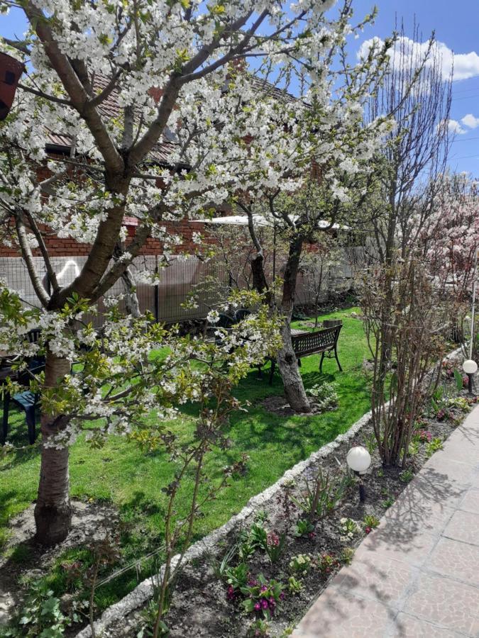 דירות קמפולונג Vinatoru Apartament Intrare Prin Strada Sculptor Constantin Baraschi מראה חיצוני תמונה