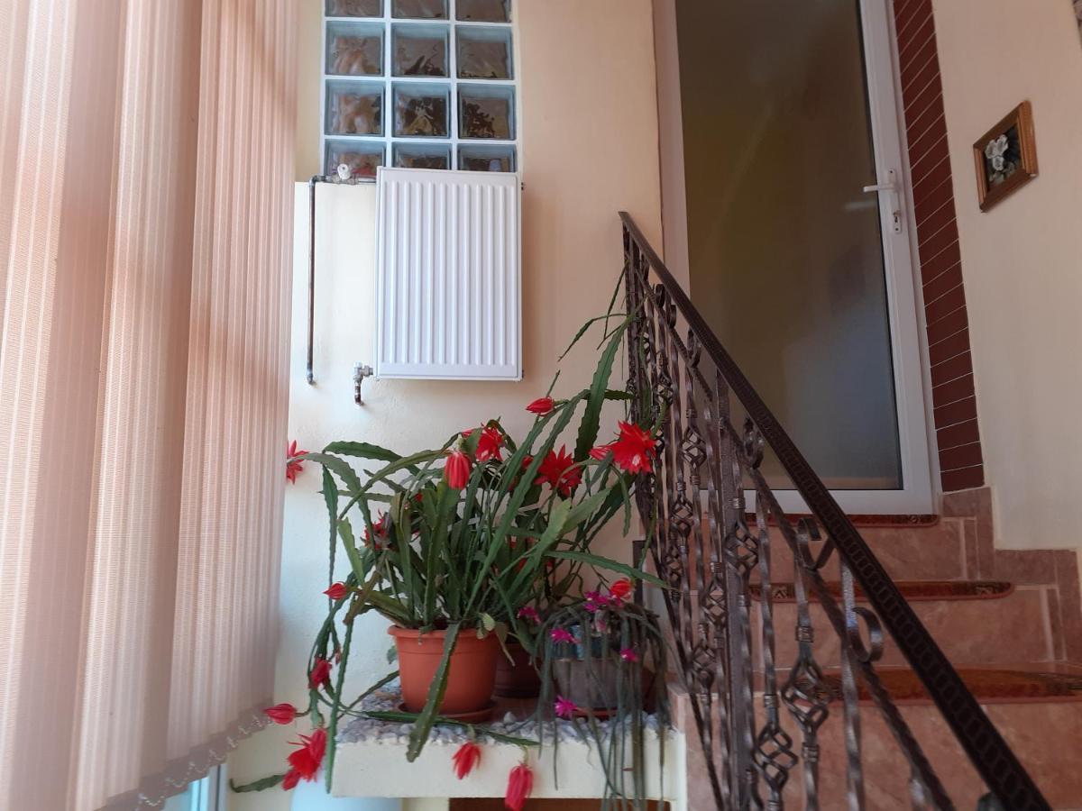דירות קמפולונג Vinatoru Apartament Intrare Prin Strada Sculptor Constantin Baraschi מראה חיצוני תמונה