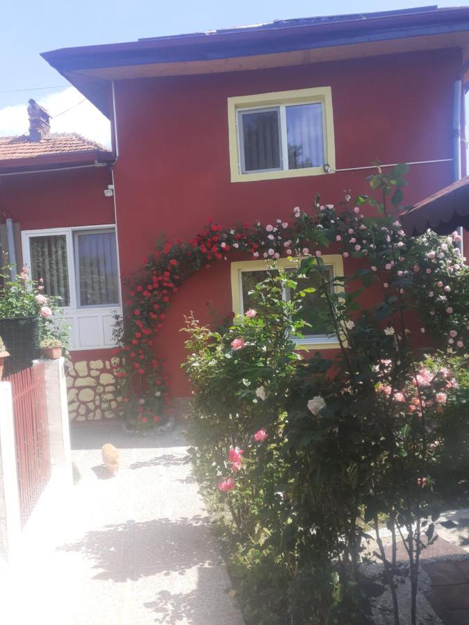 דירות קמפולונג Vinatoru Apartament Intrare Prin Strada Sculptor Constantin Baraschi מראה חיצוני תמונה