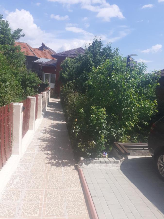 דירות קמפולונג Vinatoru Apartament Intrare Prin Strada Sculptor Constantin Baraschi מראה חיצוני תמונה