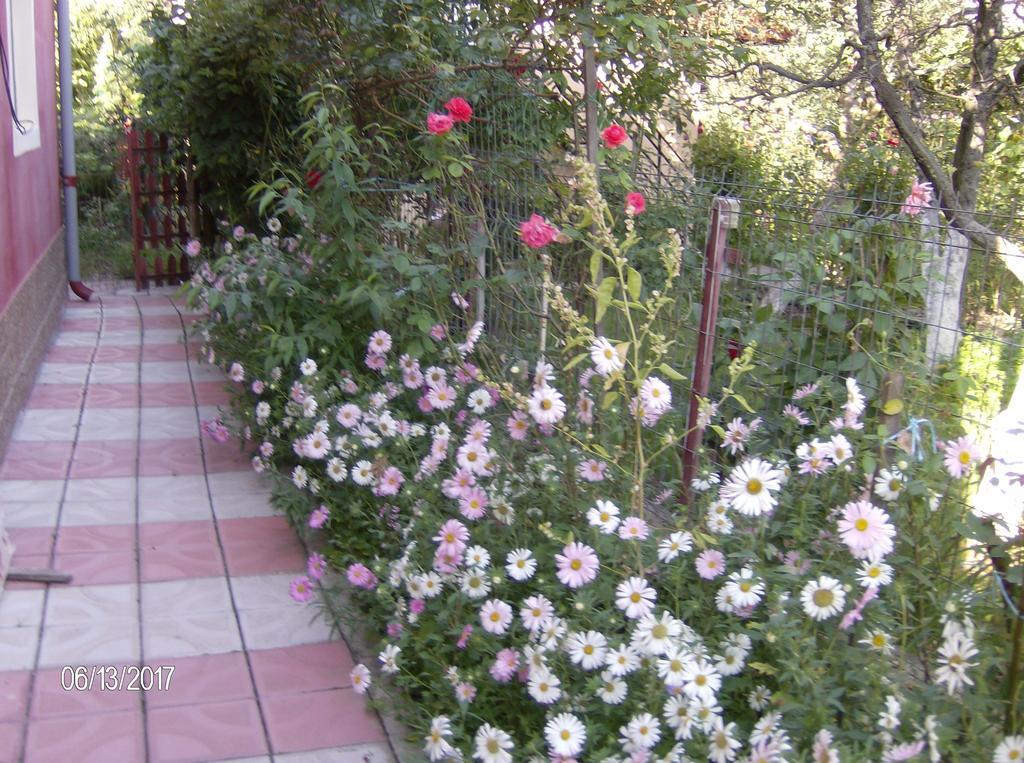 דירות קמפולונג Vinatoru Apartament Intrare Prin Strada Sculptor Constantin Baraschi מראה חיצוני תמונה