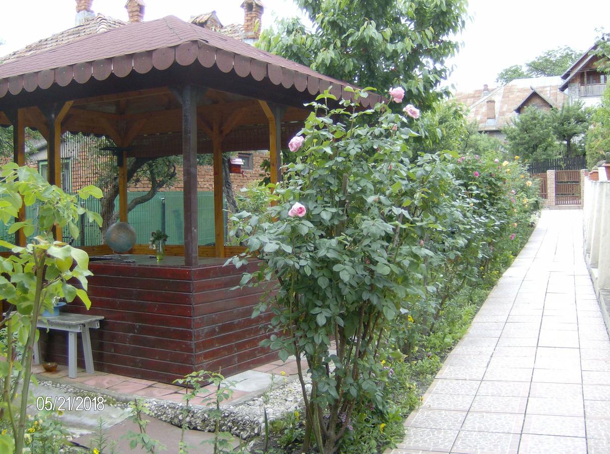 דירות קמפולונג Vinatoru Apartament Intrare Prin Strada Sculptor Constantin Baraschi מראה חיצוני תמונה