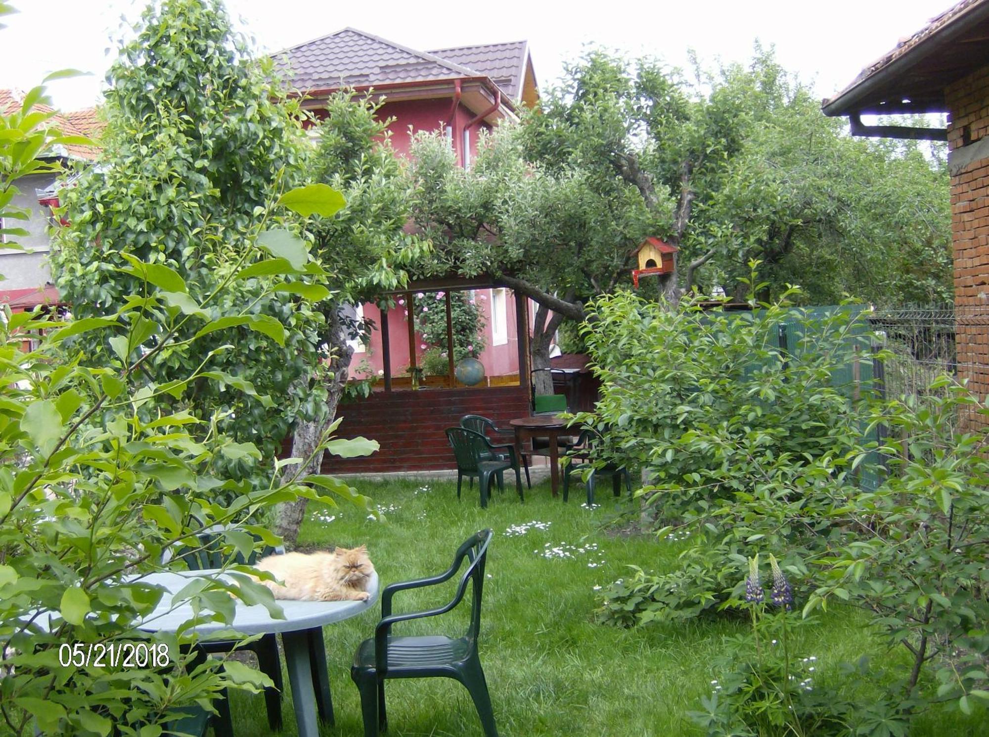 דירות קמפולונג Vinatoru Apartament Intrare Prin Strada Sculptor Constantin Baraschi מראה חיצוני תמונה