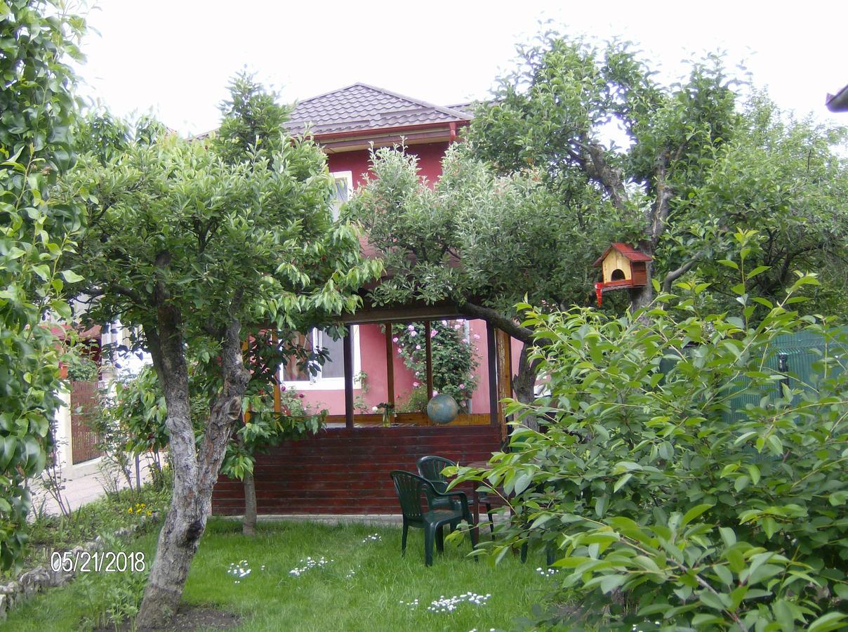 דירות קמפולונג Vinatoru Apartament Intrare Prin Strada Sculptor Constantin Baraschi מראה חיצוני תמונה