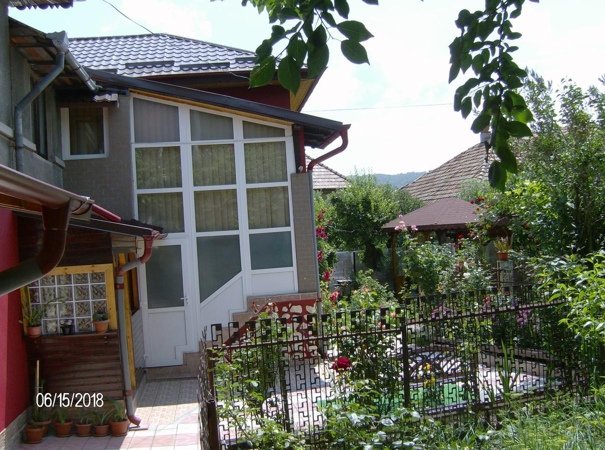 דירות קמפולונג Vinatoru Apartament Intrare Prin Strada Sculptor Constantin Baraschi מראה חיצוני תמונה