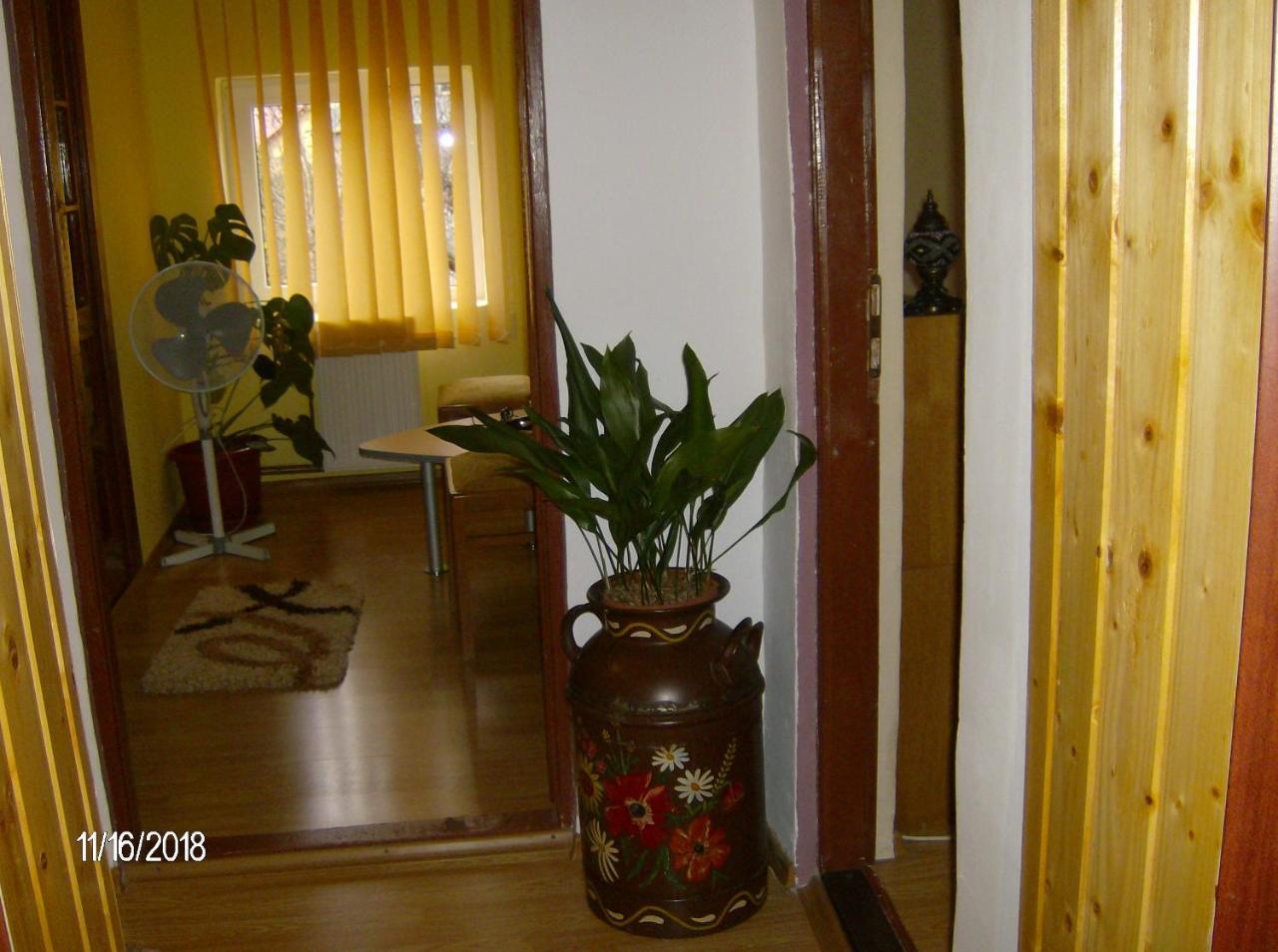 דירות קמפולונג Vinatoru Apartament Intrare Prin Strada Sculptor Constantin Baraschi מראה חיצוני תמונה