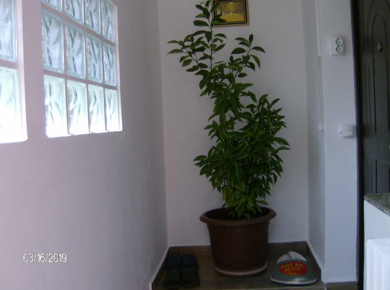 דירות קמפולונג Vinatoru Apartament Intrare Prin Strada Sculptor Constantin Baraschi מראה חיצוני תמונה