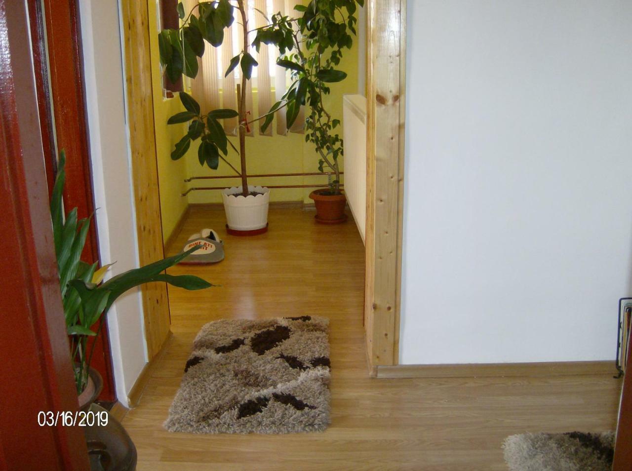 דירות קמפולונג Vinatoru Apartament Intrare Prin Strada Sculptor Constantin Baraschi מראה חיצוני תמונה