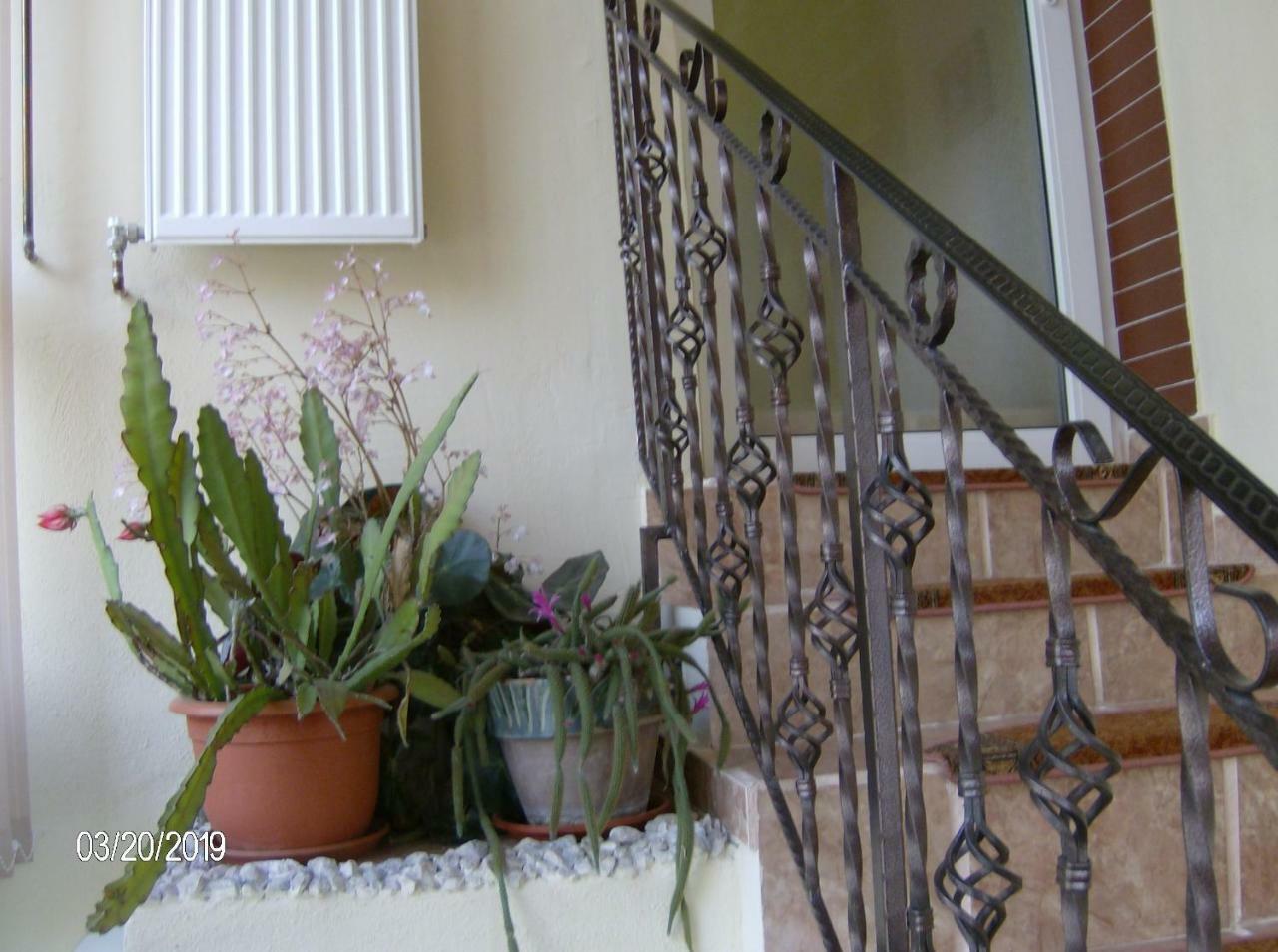 דירות קמפולונג Vinatoru Apartament Intrare Prin Strada Sculptor Constantin Baraschi מראה חיצוני תמונה