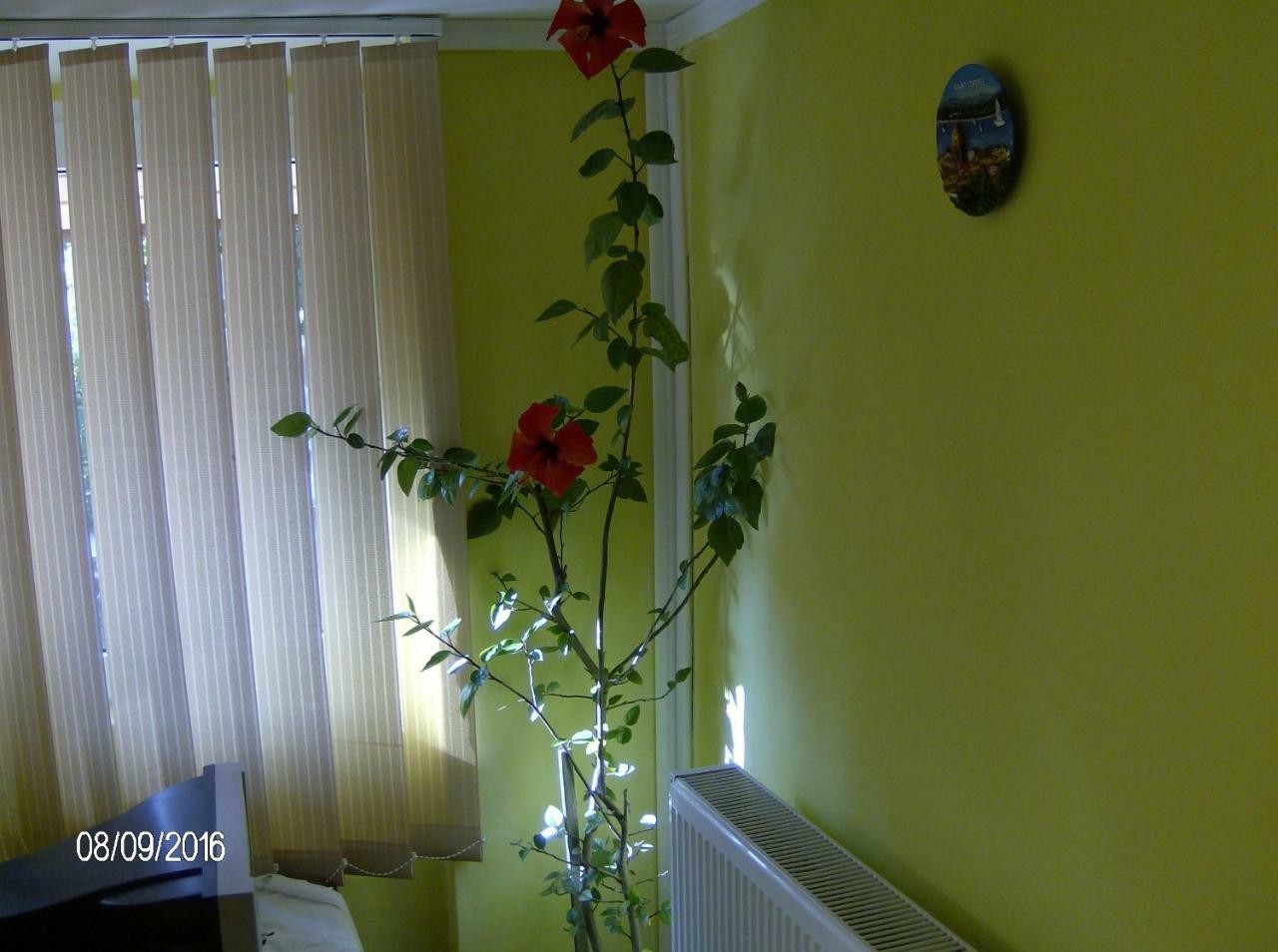 דירות קמפולונג Vinatoru Apartament Intrare Prin Strada Sculptor Constantin Baraschi מראה חיצוני תמונה
