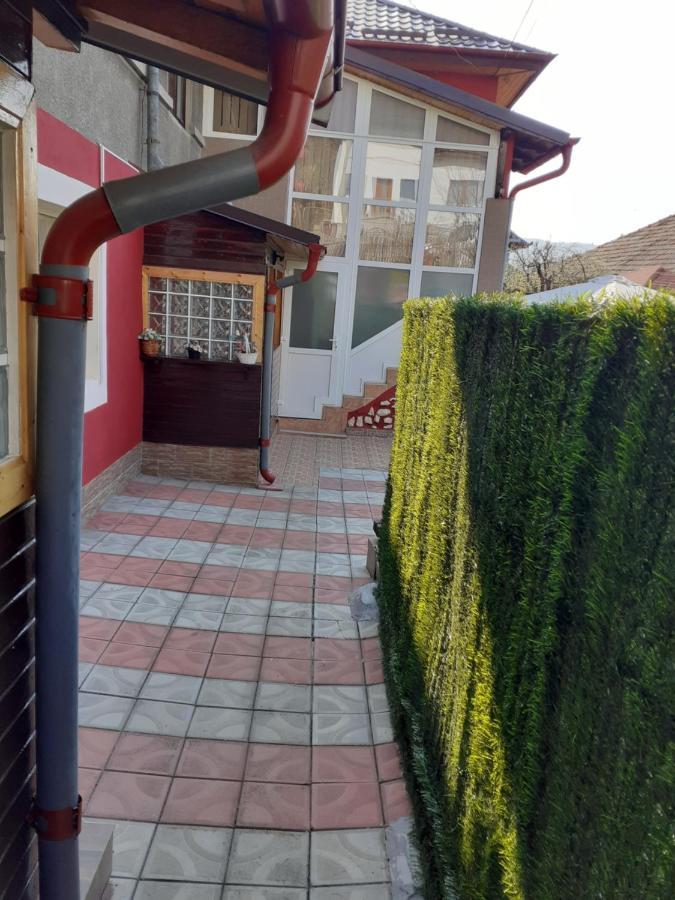 דירות קמפולונג Vinatoru Apartament Intrare Prin Strada Sculptor Constantin Baraschi מראה חיצוני תמונה