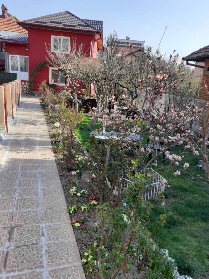 דירות קמפולונג Vinatoru Apartament Intrare Prin Strada Sculptor Constantin Baraschi מראה חיצוני תמונה